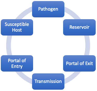 Chain of infection links in the transmission of infectious agents