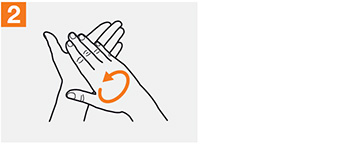 Using alcohol hand sanitizer to effectively clean hands, step 2, rub hands palm to palm.