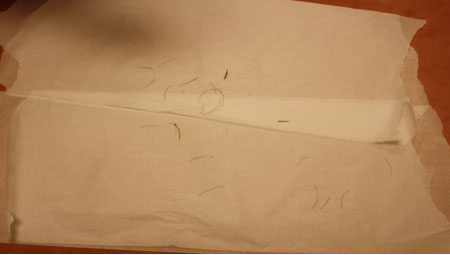 Forensic examination clothing collection photo showing trace evidence on floor covering